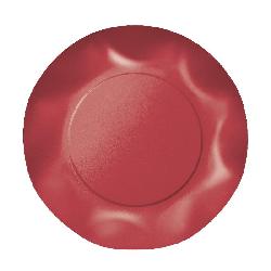 Piatti Dessert plastificati per alimenti Twenty - Rosso - 10 pz - Ø cm 20,3, ROSSO3T