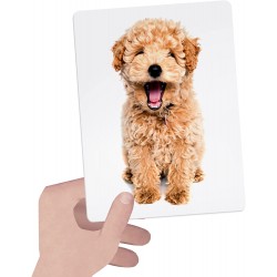 Headu - Flashcards Tactile Montessori - MU23738