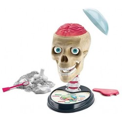 Clementoni- Scienza Lab Fuori di Testa, Laboratorio di Anatomia, Gioco scientifico (Versione in Italiano), Bambini 8 Anni+, Made