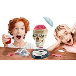 Clementoni- Scienza Lab Fuori di Testa, Laboratorio di Anatomia, Gioco scientifico (Versione in Italiano), Bambini 8 Anni+, Made