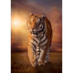 Clementoni - Puzzle High Quality Collection Tiger, No Color, 1500 Pezzi - CL31806