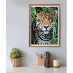 Clementoni - Puzzle High Quality Collection The Jungle - 500 Pezzi, Animali, Medium - CL35127