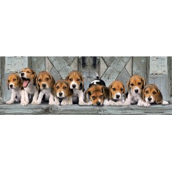 Clementoni - Puzzle High Quality Collection Panorama - Beagles, 1000 Pezzi - CL39435