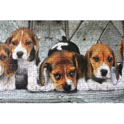 Clementoni - Puzzle High Quality Collection Panorama - Beagles, 1000 Pezzi - CL39435