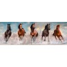 Clementoni - Puzzle High Quality Collection Panorama - Horses adulti 1000 pezzi, puzzle panoramico - CL39607