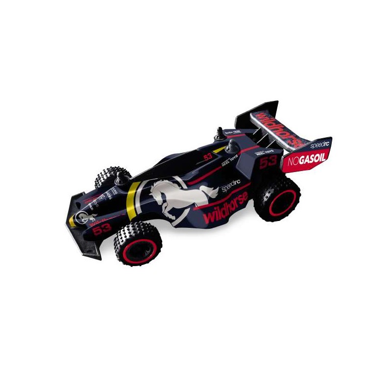 FAST WHEELS - Buggy Speed Racer RC Scala 1:24   2 Modelli