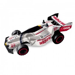 FAST WHEELS - Buggy Speed Racer RC Scala 1:24   2 Modelli