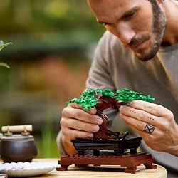 LEGO Creator Expert Albero Bonsai, Set per Adulti, Home Decor DIY, Collezione Botanica, Modello da Esposizione, 10281