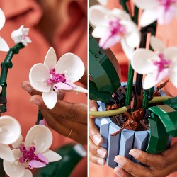 LEGO Icons Orchidea, Set per Adulti da Collezione, Modellismo e Hobby Creativi, Modellino da Costruire in Mattoncini con Fiori F