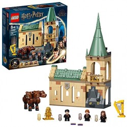 LEGO Harry Potter Hogwarts: Incontro con Fuffi, Castello Giocattolo con Cane a Tre Teste e Minifigure Oro del 20° Anniversario, 