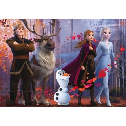 Liscianigiochi 2 Disney Frozen Puzzle DF Supermaxi, 108 Pezzi, Multicolore, 73399