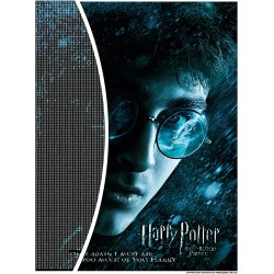 DIAMANTINY Harry Potter – Wizarding Art Medium Il Principe Mezzosangue – Kit crea il Mosaico, Attività Crystal Art, Diamond Pain