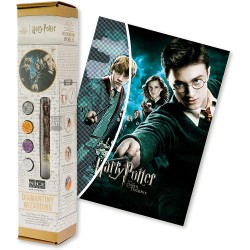 DIAMANTINY Harry Potter – Wizarding Art Medium l’Ordine della Fenice – Kit crea il Mosaico, Attività Crystal Art, Diamond Painti