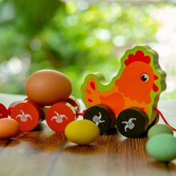 Dal Negro - POLLY COCCODÈ - Gioco trainabile educativo con uova in legno per bambini 18 + mesi per sviluppo motricità bimbo - D0