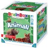 Asmodee - BrainBox: Animali (2022), Gioco per Imparare e Allenare la Mente, 1+ Giocatori, 8+ Anni, Ed. in Italiano - AS6801