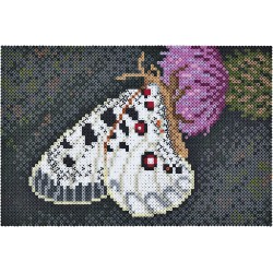 HAMA - Scatola Pixel Art & Papillon - 10.000 perline e 6 piastre - Perline da stirare Taglia Midi