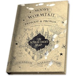 ABYstyle - Harry Potter - Cofanetto regalo con biglietto del predone in vetro, con spilla e taccuino