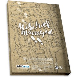 ABYstyle - Harry Potter - Cofanetto regalo con biglietto del predone in vetro, con spilla e taccuino