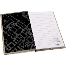 ABYstyle - Harry Potter - Cofanetto regalo con biglietto del predone in vetro, con spilla e taccuino