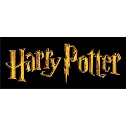 Rubies - Harry Potter - Costume Harry Potter per Bambini, Black, Taglia M (5-7 Anni) -  IT884252-M