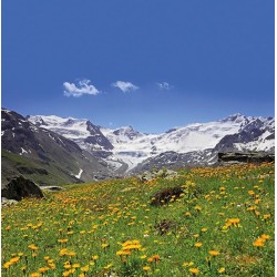 Trudi 52232 - Peluche Trudino Pipistrello - Parco Adamello Brenta Pipistrello XS