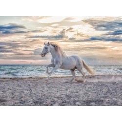 Ravensburger Cavallo in Spiaggia, Multicolore, 16586 5