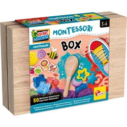 Lisciani Montessori Work box 102594