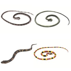 Park e Farm - Serpenti Morbidi in 4 modelli assortiti