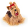 Trudi - Yorkshire Willy Peluche ideale come regalo di compleanno, Natale e altre occasioni | 24x21x16cm taglia S | Classici cani