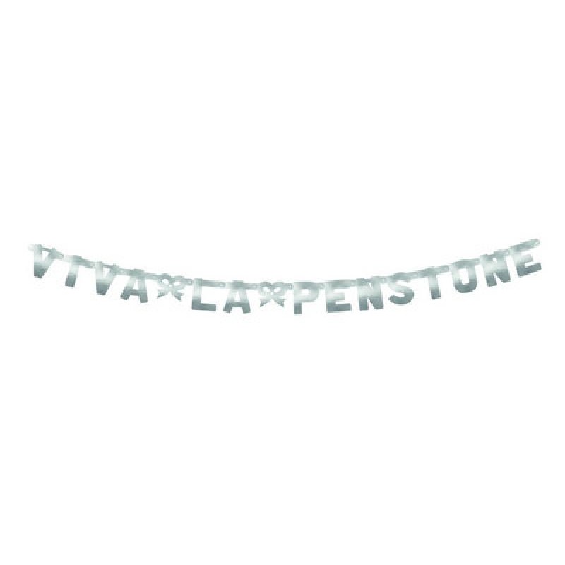 Festone Viva La Pensione 240x15 Cm Metallizzato XL, Colore Argento, 1pz, 5IT29058 Festone Viva La Pensione 240x15 Cm Metallizzato XL, Colore Argento, 1pz, 5IT29058