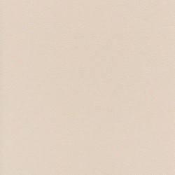 Tovagliolo Sabbia 40 X 40 Pz.50