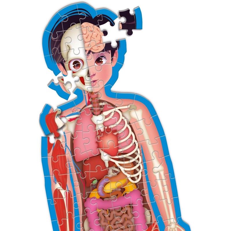 Clementoni Sapientino più Il Corpo Umano 16471 Gioco Educativo