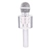 Music Mania - Microfono Karaoke colore Argento - GGI220234/2