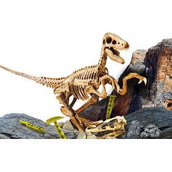 Lisciani - I m genius science, superkit Velociraptor, età 7+, LI80632