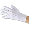 Carnival Toys - Guanti bianchi in tessuto elasticizzato lunghezza cm. 24 circa, 03224