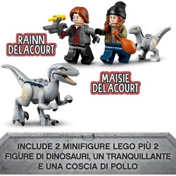LEGO Jurassic World La Cattura dei Velociraptor Blue e Beta, Giochi per Bambini dai 6 Anni in su con Camion e Dinosauri Giocatto