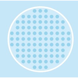 Hama - Set di 2 Pannelli Forati per Perline da Stirare, Forma Tonda e Quadrata - AMA4453