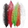 Carnival Toys - 5 Piume Struzzo cm. 35/40 circa, colori assortiti, in busta, 08201