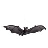 Carnival Toys - Pipistrello Nero d Appendere larghezza cm. 55 ca., 09882