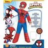 Rubies costume Spiderman Spidey, Prescolare, Marvel, Avengers, Taglia S, 3-4 anni, Multicolore (702740-S)