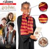 Rubies - Set accessori Harry Potter per ragazzi e ragazze, Sciarpa Grifondoro, Occhiali e mappa predono, Ufficiale Harry Potter,