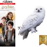 Rubies - Set accessori Harry Potter per ragazzi e ragazze, Sciarpa Grifondoro, Occhiali e mappa predono, Ufficiale Harry Potter,