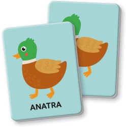 Clementoni - Sapientino Baby Montessori - Carte Primo Memo, Gioco di Memoria Educativo Bambini 1-3 Anni, Carte Tattili per Svilu
