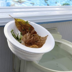 Gre - Filtri per cestello skimmer con velcro per cestelli diam. 24cm confezione 10pz. - FSK10