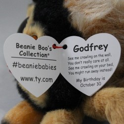 Ty Beanie Boos - Godfrey il Ragnetto con Occhi Arancioni Grandi e Glitter, il Peluche con gli Occhi Grandi Scintillanti - Speci