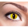 Boland - Lenti a contatto WILD CAT con motivo colorato, 2 pezzi, lenti settimanali senza prescrizione, 40119