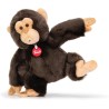 Trudi Scimmia Bisko Scimmietta mascotte peluche, scimpanzè | 33x30x19 cm taglia M | Animali Esotici tropicali | modello 27147
