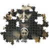 Clementoni - 37098 Puzzle 1000 Pezzi per Adulti e Ragazzi, Collection, Tema The Nun II - Valak, Poster Incluso, Made in Italy, 