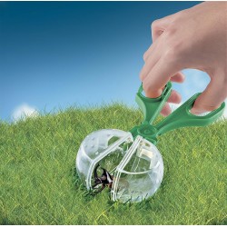 Clementoni x Geopop - 19428 Il Mondo degli Insetti, Gioco Scientifico con Kit per Scoprire il Mondo degli Insetti Animali, Made