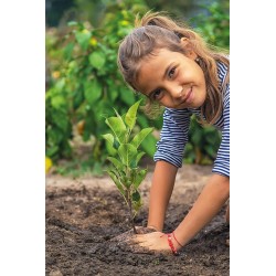 Clementoni Scienza e Gioco Lab - 19393 La Mia Serra, Laboratorio di Botanica, con Semi da Agricoltura Biologica per Coltivazion